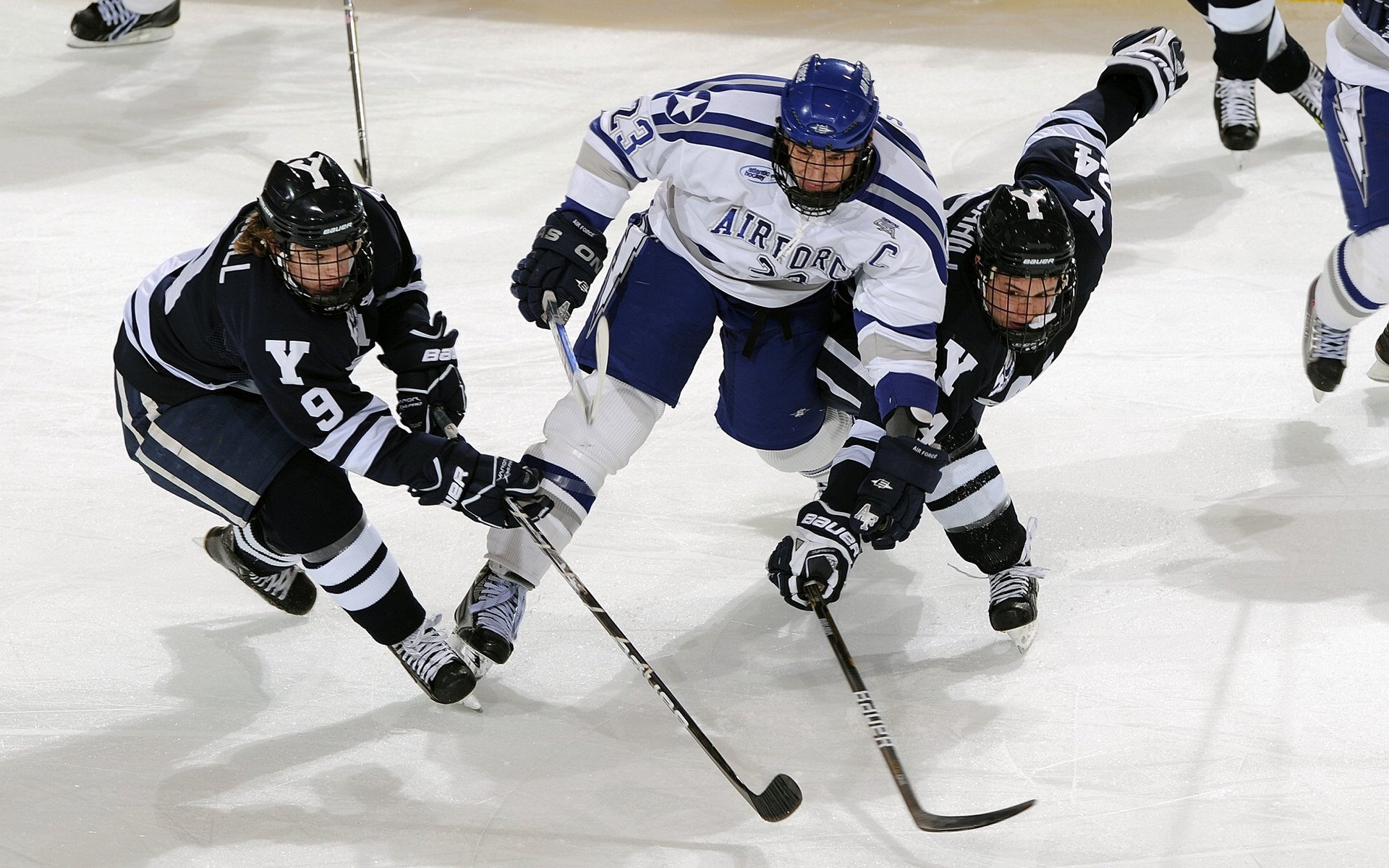 体育新闻中心发布行业趋势白皮书，体育产业消息